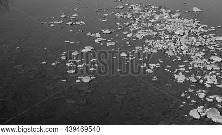 Stone At Water Level In A Beautiful River In The Canadian Countryside In Quebec