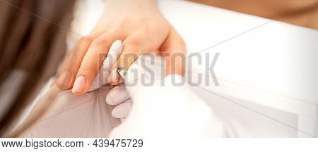 Manicure Master Uses Manicure Clippers Removing Cuticles On Female Nails In A Beauty Salon Close Up