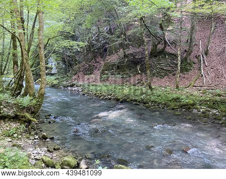 Curak Stream Near The Zeleni Vir Picnic Area In Gorski Kotar - Vrbovsko, Croatia (potok Curak Kod Iz