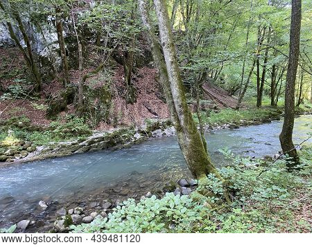 Curak Stream Near The Zeleni Vir Picnic Area In Gorski Kotar - Vrbovsko, Croatia (potok Curak Kod Iz