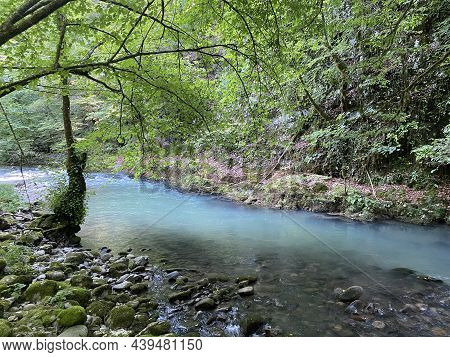 Curak Stream Near The Zeleni Vir Picnic Area In Gorski Kotar - Vrbovsko, Croatia (potok Curak Kod Iz