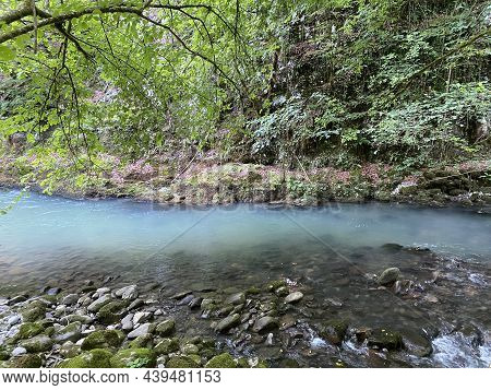 Curak Stream Near The Zeleni Vir Picnic Area In Gorski Kotar - Vrbovsko, Croatia (potok Curak Kod Iz
