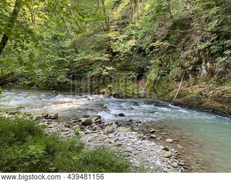 Curak Stream Near The Zeleni Vir Picnic Area In Gorski Kotar - Vrbovsko, Croatia (potok Curak Kod Iz