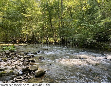 Curak Stream Near The Zeleni Vir Picnic Area In Gorski Kotar - Vrbovsko, Croatia (potok Curak Kod Iz