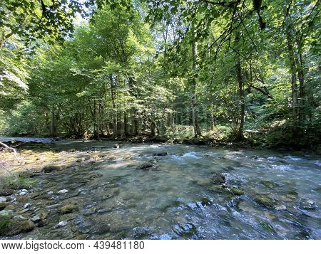 Curak Stream Near The Zeleni Vir Picnic Area In Gorski Kotar - Vrbovsko, Croatia (potok Curak Kod Iz
