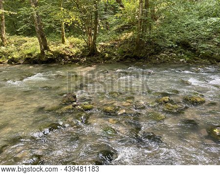 Curak Stream Near The Zeleni Vir Picnic Area In Gorski Kotar - Vrbovsko, Croatia (potok Curak Kod Iz