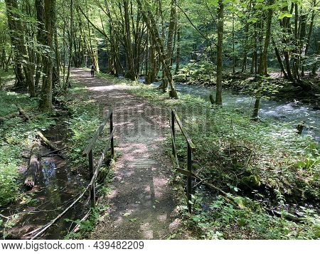 Promenade Along The Curak Stream Near The Zeleni Vir Picnic Area In Gorski Kotar - Vrbovsko, Croatia