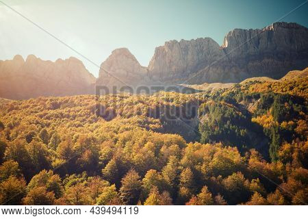 Forest in Anso Valley, Huesca Province in Aragon in Spain.