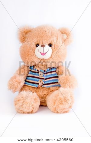 Teddy Bear