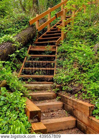 Going Up Through The Greenery - Wooden Steps In An April Scene At Minto Park - Near Gates, Or