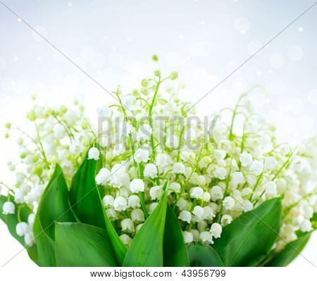 Lily-of-the-valley blomster Design. Klase af hvid forårsblomst