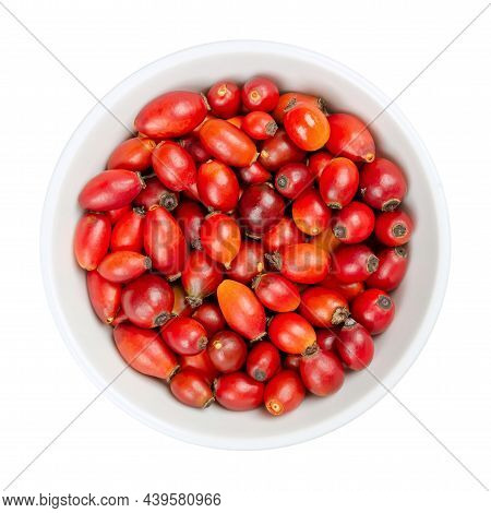 Fresh Wild Rose Hips, In A White Bowl. Also Known As Rose Haw Or Rose Hep. Ripe And Intense Red Frui