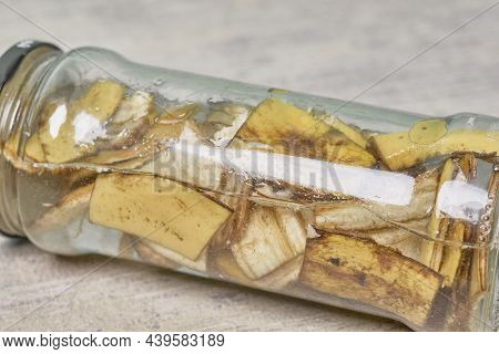 A Jar Filled With Banana Peel Cuts And Water. Banana Peel For Plant Fertilization. Eco Friendly Natu