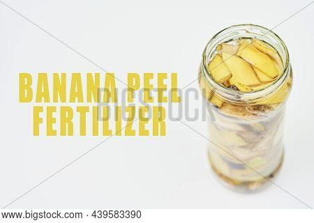 A Jar Filled With Banana Peel Cuts And Water. Banana Peel For Plant Fertilization. Eco Friendly Natu