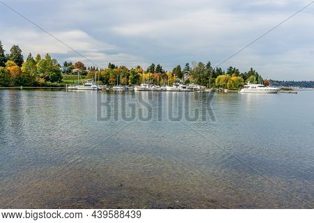 A Lake Wasington Marina And Colorful Fall Trees In Seattle, Washington.