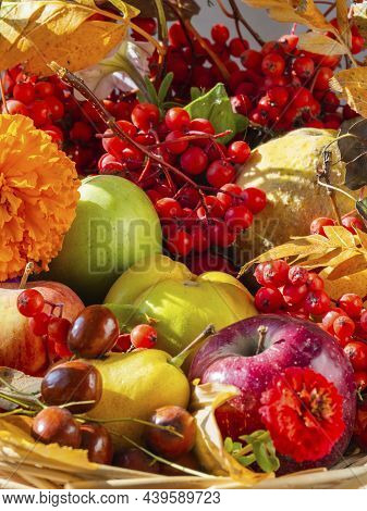 A Composition Of Assorted Fresh Organic Fruits
And Berries. World Food Day. Healthy Vegetarian Food