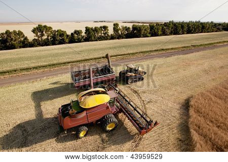 Grande combinar semilla de descarga en un carro de grano en un campo de la pradera