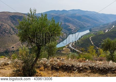 River Douro next to the mouth of the river Coa. Vila Nova de Foz Coa Municipality. Douro Region.