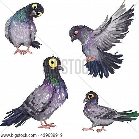 Set Of Funny Cartoon Gray Dove. On A White Background 12 Birds Characters With Different Emotions Fo
