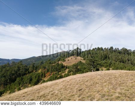 Mountain Landscape In The Village Of Dobroselica On The Mountain Zlatibor In Serbia