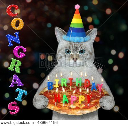 An Ashen Cat In A Birthday Hat Holds A Holiday Pizza With Burning Candles. Congrats.