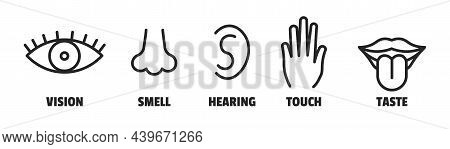 Minimal Sence Icons. Eye Nose Ear Hand Tongue Sensation Sign. Sensory Simple Sign