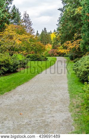A Path At The Wasington Park Arboretum In Seatle. It Is The Fall Season.