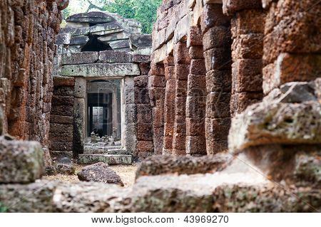 Ta Prohm, Angkor, Cambogia