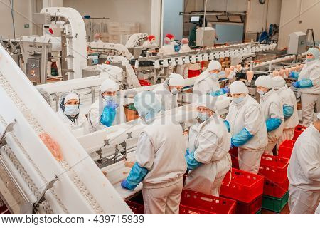 Meat Processing Plant.people Working At A Chicken Factory - Stock Photo.automated Production Line In