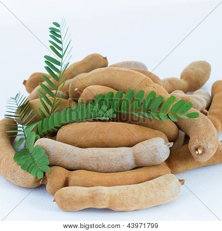 Tamarindo con hoja