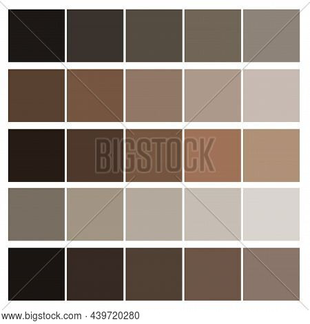 Brown Color Palette. Fashion Background. Cosmetic Concept. Interior Art Design. Vector Illustration.