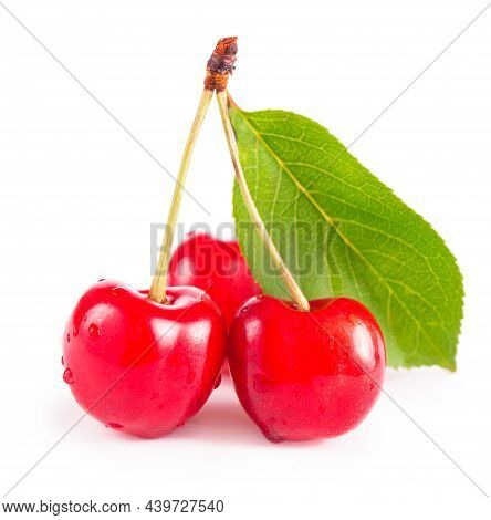 Ripe Fresh Red Cherry Isolated On White Background. With Clipping Path.