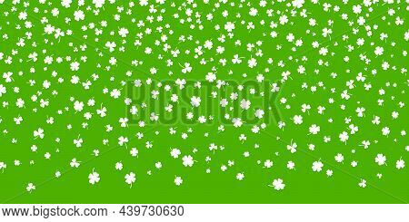 Shamrock Or White Clover Leaves Pattern Background Flat Design Vector Illustration Isolated On Green