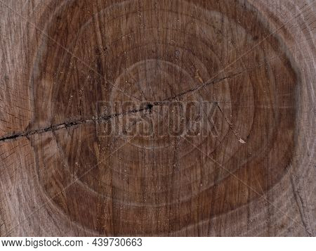 Saw Cut Texture With Annual Rings And Cracks. Old Tree Stump As Background. Construction Background.