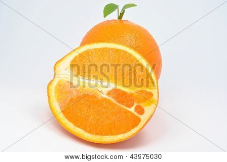 oranges on a white background