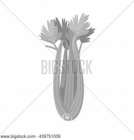 Vector Design Of Celery And Bunch Symbol. Web Element Of Celery And Stick Vector Icon For Stock.