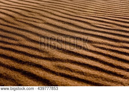 Beautiful lansdscape view of golden sand
