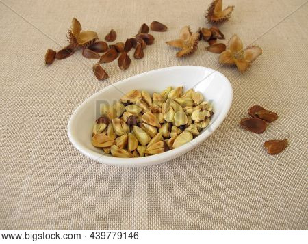 A Small Bowl Of Freshly Roasted Beechnuts
