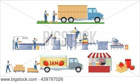 Strawberry Jam Production Vector Infographic. Fruit Harvest. Factory Processing Line, Distribution, 