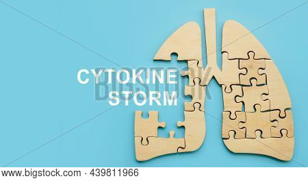 Cytokine Storm Words And Model Of The Lungs.