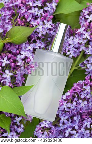 Perfumed Water, Eau De Par Fum With Floral Aroma. Lilac And Perfume In White Transparent Bottle In  