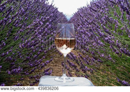 Summer In French Provence, Cold Gris Rose Wine From Cotes De Provence And Colorful Lavender Fields O