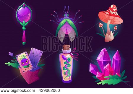 Witch Items Magic Mirror, Laughing Fly Agaric Mushroom, Bottle With Snake, Tarot Cards, Pinned Bug A