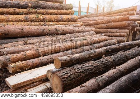A Pile Of Pine Logs At A Sawmill For Processing. Processing And Sawing Wood At A Sawmill.