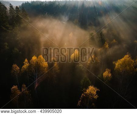 Aerial View On Autumn Forest In Morning Light During Sunrise. Foggy Forest In The Morning Mist
