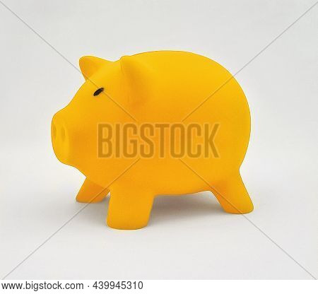 Photo Of A Yellow Pig. Pig For Training Hand Strength. Pig For Saving Money. Mockup Money Box.