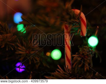 Candy Cane Hanging On Fir With Christmas Lights In The Background