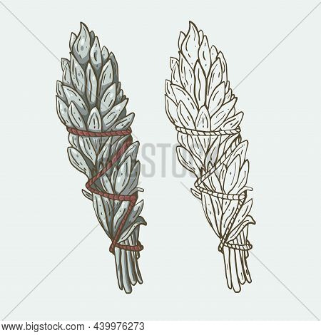 Boho Sage Smudgestick In Color And Line