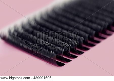 Set Artificial Black Lashes Pink Isolated Background, Eyelash Extension