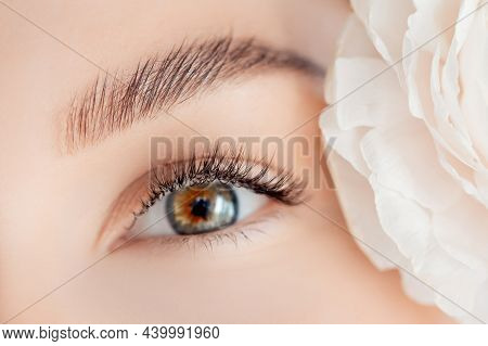 Eyelash Extension Procedure Microblading For Green Eyes Woman In Salon. Concept Beauty Care Skin Fac
